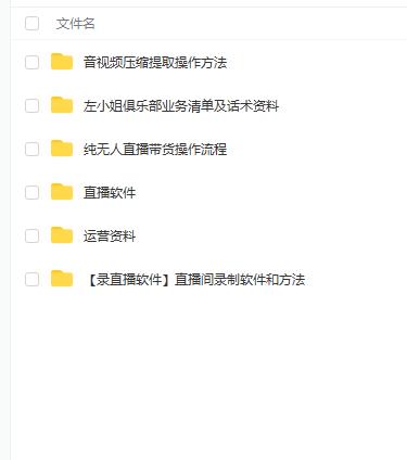 左小姐-直播带货俱乐部十三行、无人直播，全套教程附：工具、文档、话术资料-千城资源网