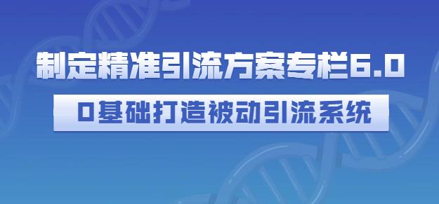 制定精准引流方案专栏6.0，0基础打造被动引流系统-千城资源网