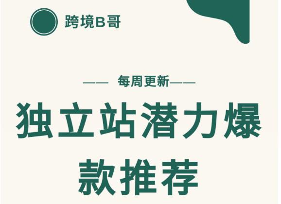 【跨境B哥】独立站潜力爆款选品推荐，测款出单率高达百分之80-千城资源网