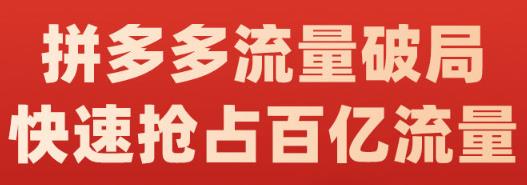阿杰·拼多多流量破局:如何打黑标，爆款的思路，拼多多流量框架，快速抢占百亿流量-千城资源网