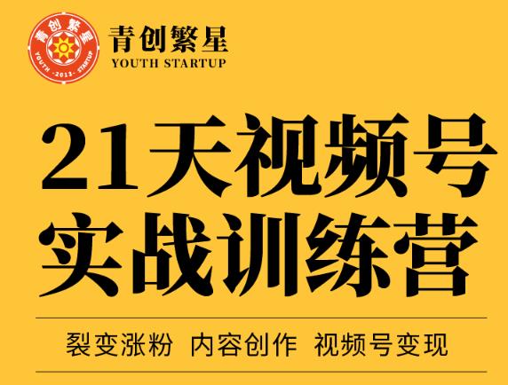 张萌21天视频号实战训练营，裂变涨粉、内容创作、视频号变现 价值298元-千城资源网