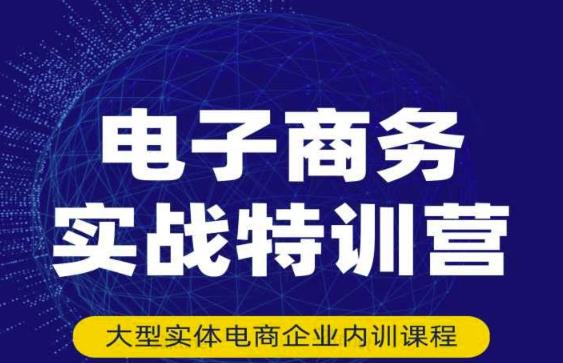 民赛电气内部出品：电子商务实战特训营，全方位带你入门电商，308种方式玩转电商-千城资源网