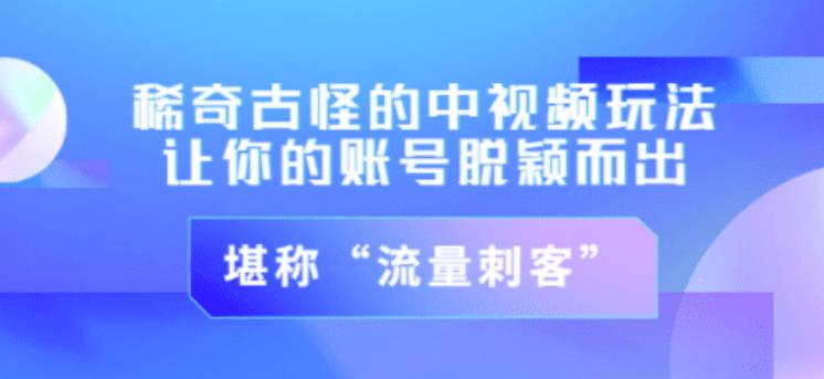不讲李·稀奇古怪的冷门中视频冷门玩法，让你的账号脱颖而出，成为流量刺客！（图文+视频）-千城资源网