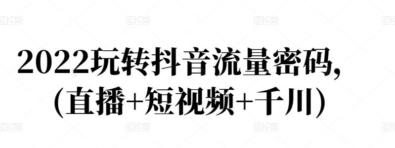 2022玩转抖音流量密码，(直播+短视频+千川)-千城资源网