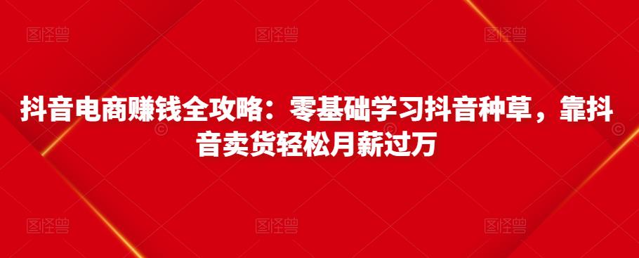 抖音电商赚钱全攻略：零基础学习抖音种草，靠抖音卖货轻松月薪过万-千城资源网