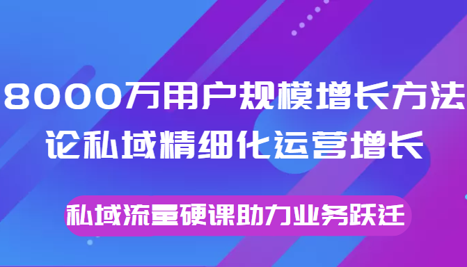 8000万用户规模增长方法论私域精细化运营增长，私域流量硬课助力业务跃迁-千城资源网
