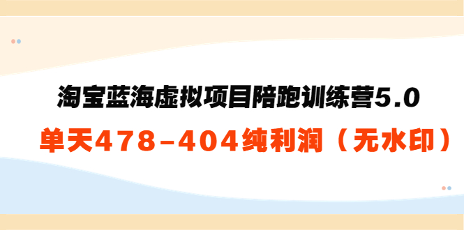淘宝蓝海虚拟项目陪跑训练营5.0：单天478纯利润-千城资源网