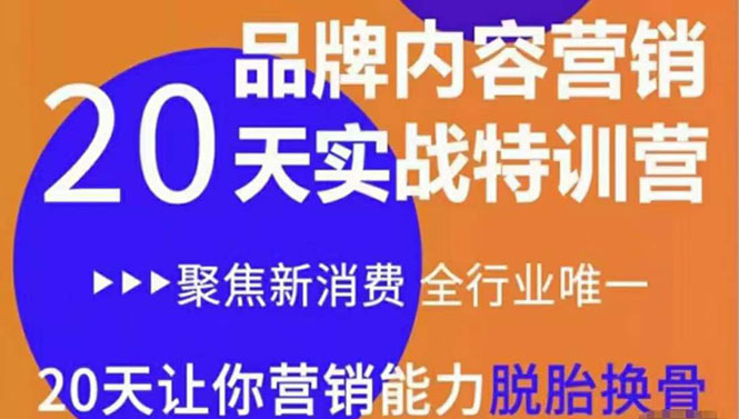 《内容营销实操特训营》20天让你营销能力脱胎换骨（价值3999）-千城资源网
