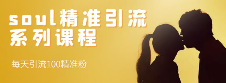 soul精准引流系列课程，每天引流100精准粉-千城资源网