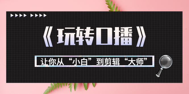 月营业额700万+大佬教您《玩转口播》让你从“小白”到剪辑“大师”-千城资源网