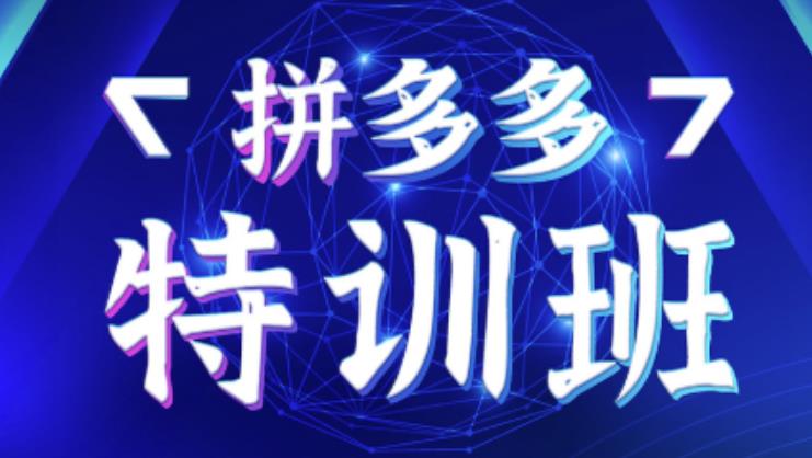 星雪教育·拼多多基础班+进阶班+突破班，用系统的学习模式快速改变现状价值3580元-千城资源网