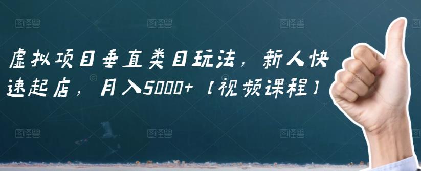 虚拟项目垂直类目玩法，新人快速起店，月入5000+【视频课程】-千城资源网