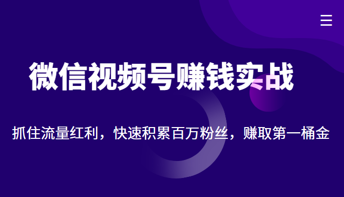 微信视频号赚钱实战：抓住流量红利，快速积累百万粉丝，赚取你的第一桶金-千城资源网