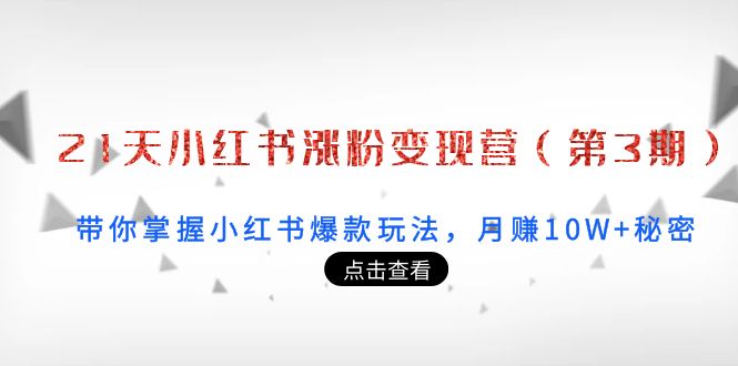 21天小红书涨粉变现营（第3期）：带你掌握小红书爆款玩法，月赚10W+秘密-千城资源网