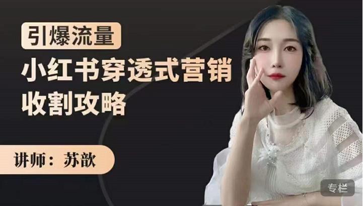苏歆：小红书穿透式营销收割攻略，引爆流量，助你玩转小红书-千城资源网