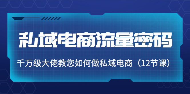 私域电商流量密码：千万级大佬教您如何做私域电商（12节课）-千城资源网
