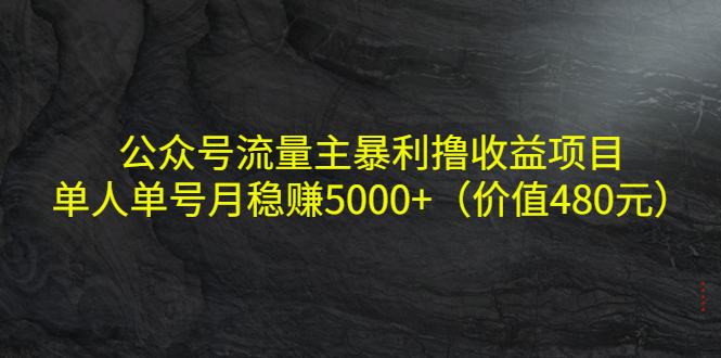 公众号流量主暴利撸收益项目，单人单号月稳赚5000+（价值480元）-千城资源网