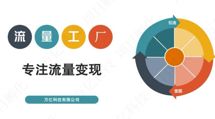 收费3980的流量工厂回粉项目，号称1个粉10元【详细玩法教程解析】-千城资源网