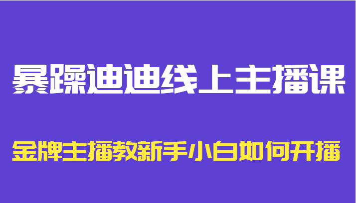 暴躁迪迪线上主播课，金牌主播教新手小白如何开播-千城资源网