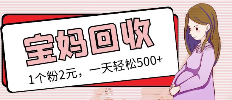 最新小红书母婴号宝妈粉回收项目，1个粉2元，一天轻松500+案例分享【粉丝包回收】-千城资源网