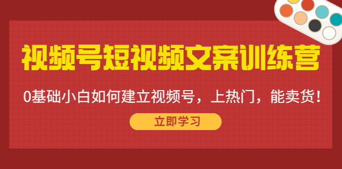 视频号短视频文案训练营：0基础小白如何建立视频号，上热门，能卖货！-千城资源网
