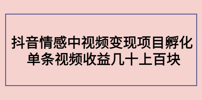 副业孵化营第5期：抖音情感中视频变现项目孵化 单条视频收益几十上百-千城资源网