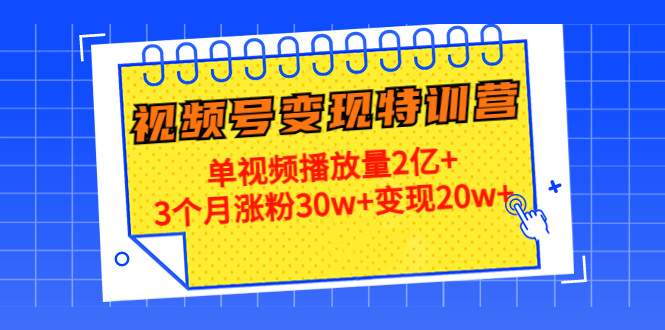 21天视频号变现特训营：单视频播放量2亿+3个月涨粉30w+变现20w+（第14期）-千城资源网