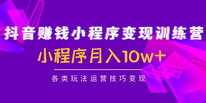 抖音赚钱小程序变现训练营：小程序月入10w+各类玩法运营技巧变现-千城资源网