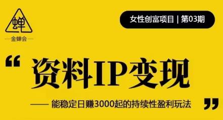 资料IP变现，能稳定日赚3000起的持续性盈利玩法-千城资源网