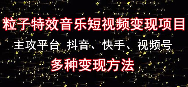 黄岛主《粒子特效音乐短视频变现项目》主攻平台抖音、快手、视频号多种变现方法-千城资源网