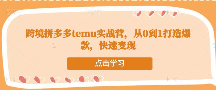 跨境拼多多temu实战营，从0到1打造爆款，快速变现-千城资源网