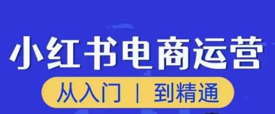 顽石小红书电商高阶运营课程，从入门到精通，玩法流程持续更新-千城资源网