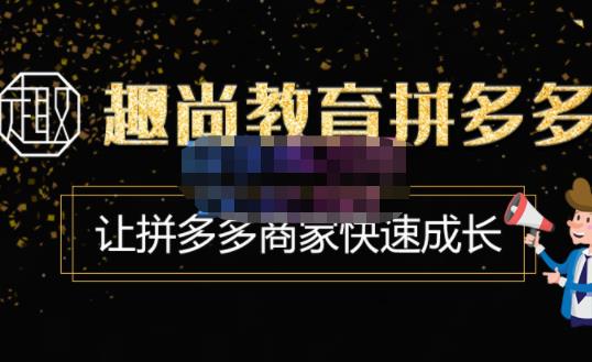 趣尚教育·拼多多运营实操VIP特训营，让拼多多商家快速成长-价值3180元-千城资源网