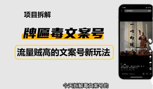 2023抖音快手毒文案新玩法，牌匾文案号，起号快易变现-千城资源网