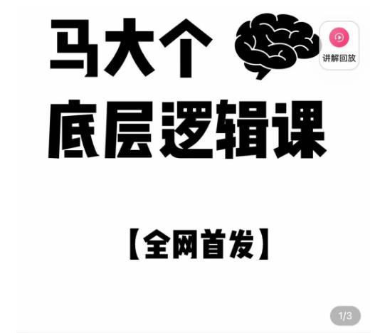 马大个·底层逻辑课，51节底层逻辑智慧课-价值1980元-千城资源网