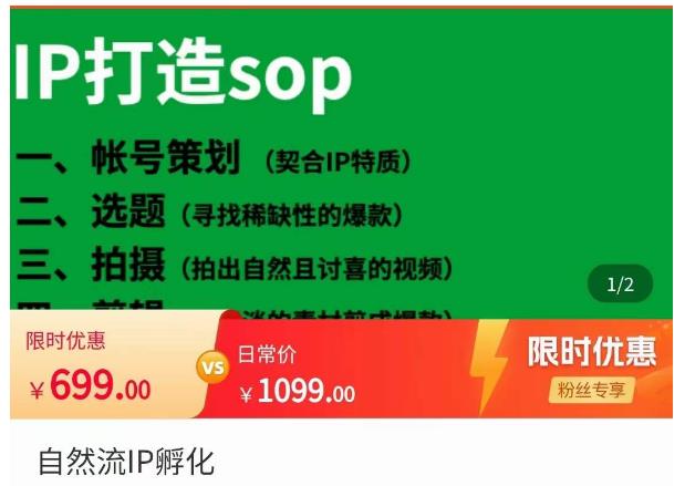瑶瑶·自然流IP孵化，系统掌握IP孵化全流程，也能学到选题，剪辑，账号运营经验-千城资源网
