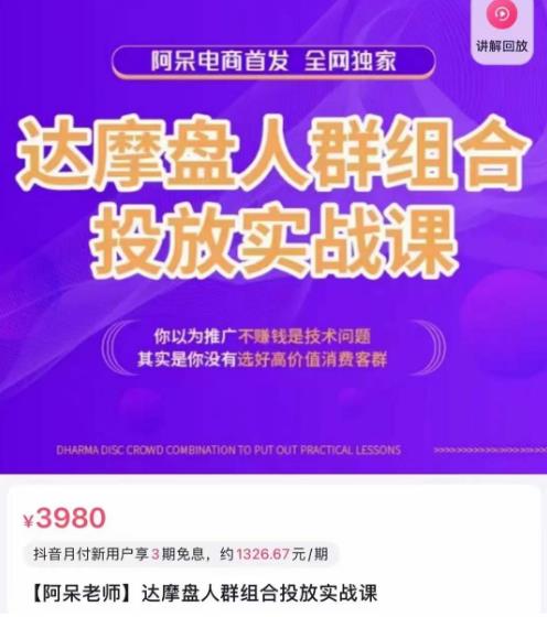 阿呆电商·达摩盘人群组合投放实战课，你以为推广不赚钱是技术问题，其实是你没有选好高价值消费客群-千城资源网