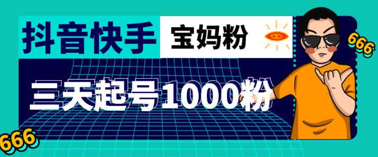 抖音快手三天起号涨粉1000宝妈粉丝的核心方法【详细玩法教程】-千城资源网