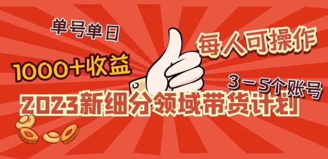 2023新细分领域带货计划：单号单日1000+收益不难，每人可操作3-5个账号-千城资源网