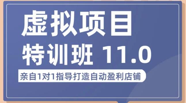 陆明明·虚拟项目特训班（10.0+11.0），0成本获取虚拟素材，0基础打造自动盈利店铺-千城资源网