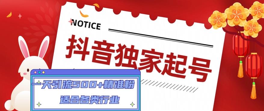 抖音独家起号，一天引流500+精准粉，适合各类行业（9节视频课）-千城资源网