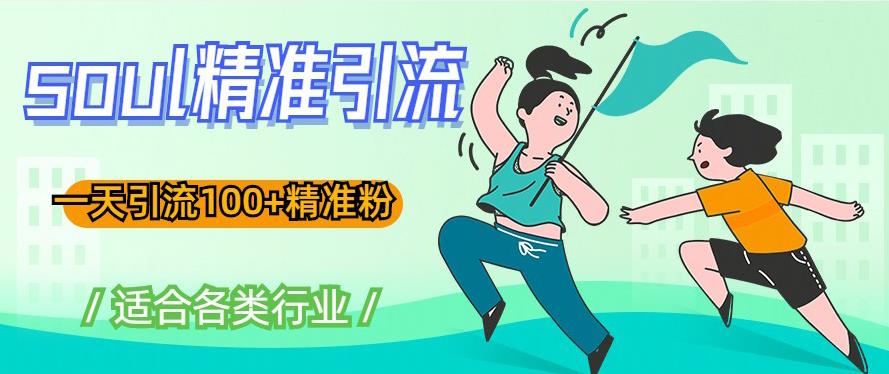 soul精准引流系列课程，一天引流100+精准粉，适合各类行业-千城资源网