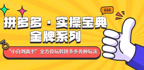 拼多多·实操宝典：金牌系列“小白到高手”带你全方位玩转拼多多各种玩法-千城资源网
