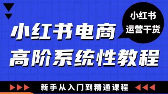 小红书电商高阶系统教程，新手从入门到精通系统课-千城资源网