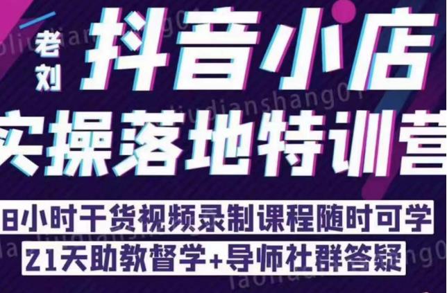 抖音小店实操落地特训营：抖音小店无货源精细化运营，抖店商品卡流量（22节）-千城资源网