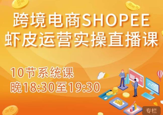 跨境电商Shopee虾皮运营实操直播课，从零开始学，入门到精通（10节系统课）-千城资源网
