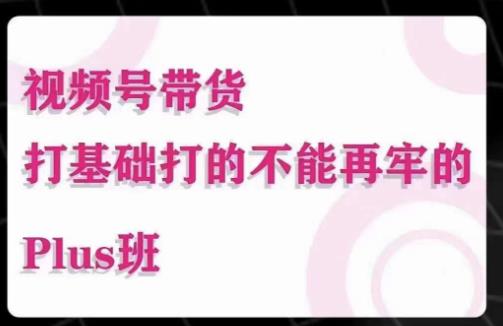 大播汇·视频号带货Puls班，视频号底层逻辑，起号自然流鱼塘等玩法-千城资源网