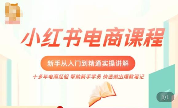 小红书电商新手入门到精通实操课，从入门到精通做爆款笔记，开店运营-千城资源网