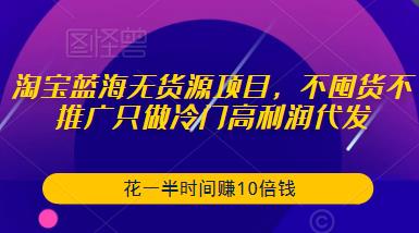 淘宝蓝海无货源项目，不囤货不推广只做冷门高利润代发，花一半时间赚10倍钱-千城资源网