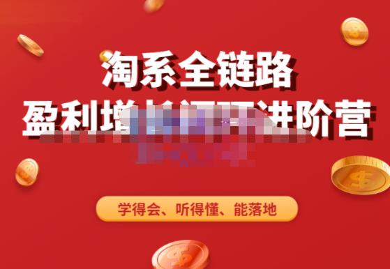 淘系全链路盈利增长闭环进阶营，融合全店动销，学得会、听得懂、能落地！-千城资源网